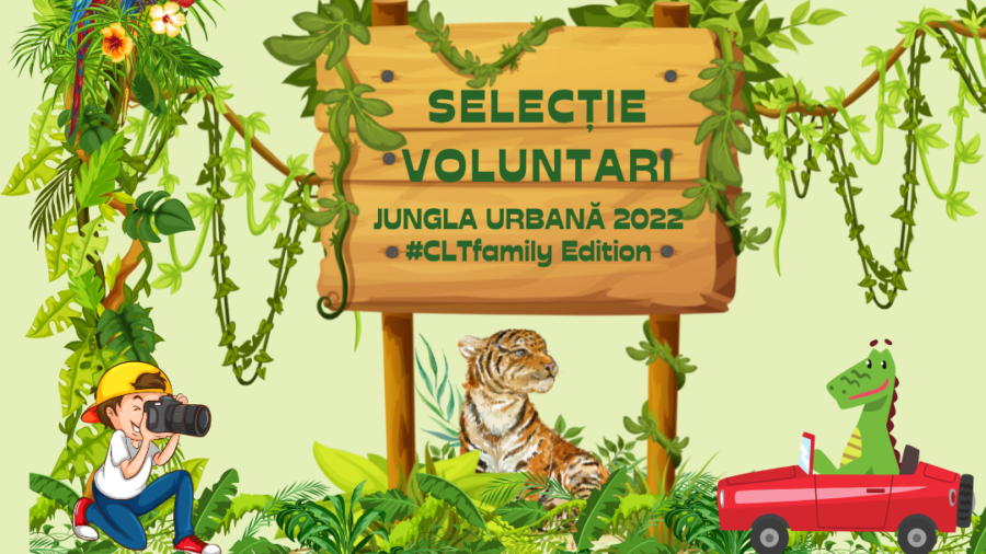 vizual selectie voluntari JU22 var 3